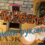 Инкубатор своими руками